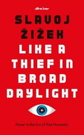 Like a Thief in Broad Daylight: Power in the Era of Post-Human Capitalism - Kniha