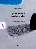 Jako černá perla v uhlí - Kniha