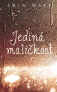 Jediná maličkost - Kniha