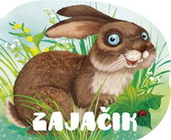 Zajačik - Kniha