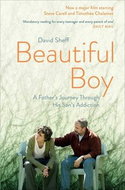 Beautiful Boy. Film Tie-In: A Father's Journey Through His Son's  Addiction - Kniha
