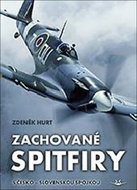 Zachované spitfiry - Kniha