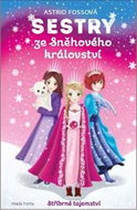 Sestry ze Sněhového království: Stříbrné tajemství - Kniha