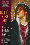 Probuďte silnou ženu - Kniha