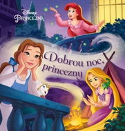 Princezna Dobrou noc, princezny - Kniha