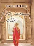 Než nastanou deště - Kniha