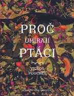 Proč umírají ptáci - Kniha