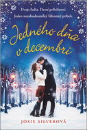 Jedného dňa v decembri - Kniha