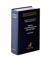 Zákon o sociálně-právní ochraně dětí Komentář - Kniha