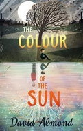 The Colour of the Sun - Kniha