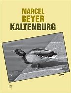 Kaltenburg: Skutečný příběh dobrých vojáků 91. regimentu - Kniha