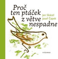 Proč ten ptáček z větve nespadne - Kniha