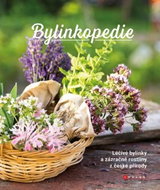 Bylinkopedie: Léčivé bylinky a zázračné rostliny z české přírody - Kniha