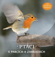 Ptáci v parcích a zahradách: 130 unikátních fotografií - Kniha