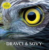 Dravci a sovy: 150 unikátních fotografií - Kniha