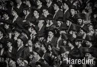 Haredim - Kniha
