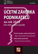 Účetní závěrka podnikatelů za rok 2018: bez chyb, pokut a penále - Kniha