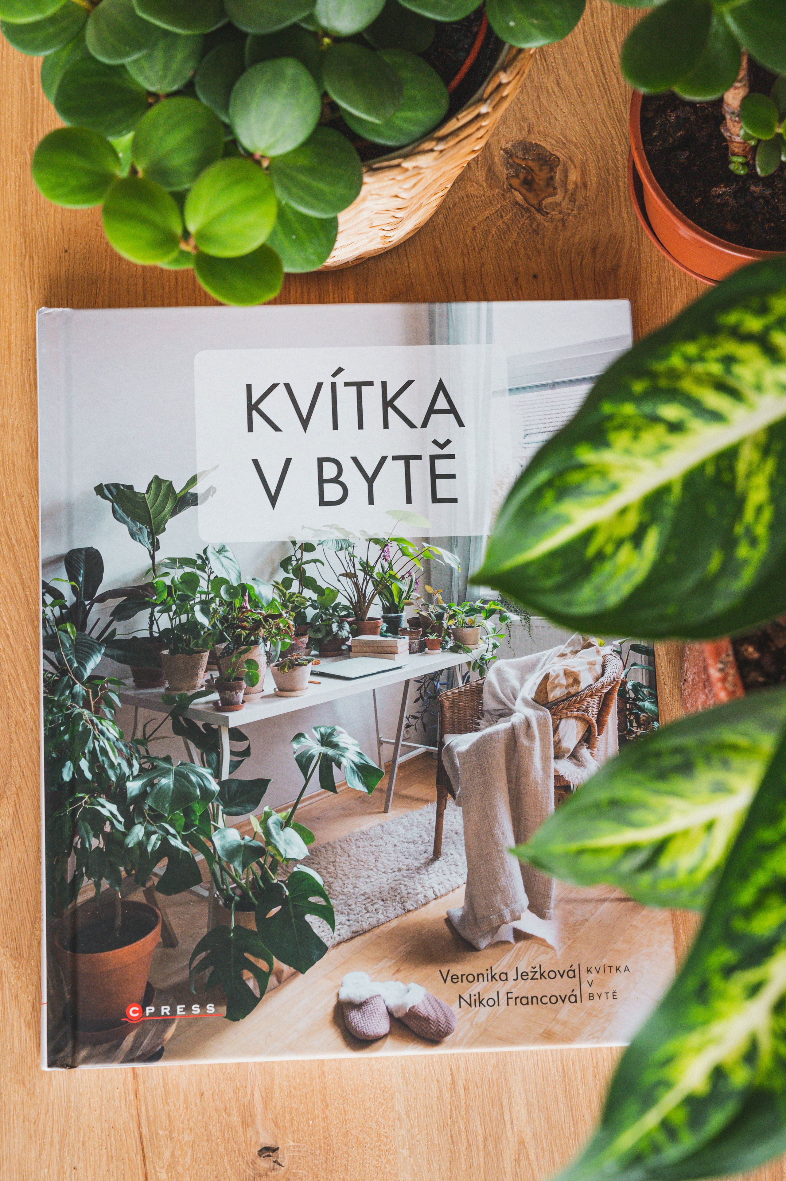Kvitka V Byte Kniha
