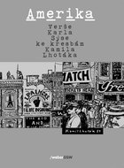 Amerika - Kniha