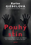 Pouhý stín: Dokonalý život, který se vteřinu po vteřině mění v peklo na zemi - Kniha