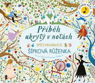 Příběh ukrytý v notách Šípková Růženka: Spící krasavice - Kniha