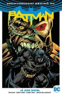 Znovuzrození hrdinů DC: Batman 3: Já jsem zhouba - Kniha