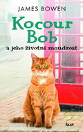 Kocour Bob: a jeho životní moudrost - Kniha