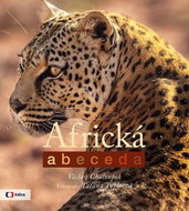 Africká abeceda - Kniha