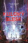 Kulový blesk - Kniha