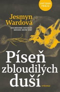 Píseň zbloudilých duší - Kniha