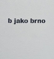 b jako brno - Kniha
