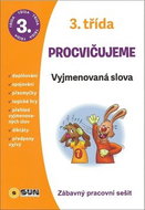 Procvičujeme 3. třída Vyjmenovaná slova: Zábavný pracovní sešit - Kniha