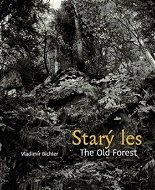 Starý les / The Old Forest - Kniha