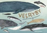 Veľryby: ilustrovaný sprievodca - Kniha