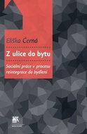 Z ulice do bytu: Sociální práce v procesu reintegrace do bydlení - Kniha