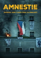 Amnestie: Svoboda jako tlustá čára za minulostí - Kniha