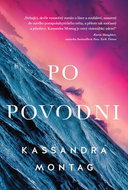 Po povodni - Kniha