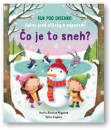 Čo je to sneh?: Úplne prvé otázky a odpovede - Kniha