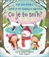 Co je to sníh? Kuk pod okénko - Kniha