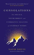Consolations: The Solace, Nourishment and Underlying Meaning of Everyday Words - Kniha