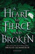 A Heart So Fierce and Broken - Kniha