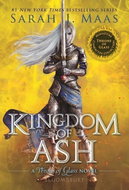 Kingdom of Ash: Miniature Character Collection - Kniha