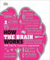 How the Brain Works: The Facts Visually Explained - Kniha