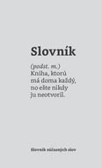 Slovník súčasných slov - Kniha