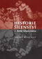Historie šílenství v době klasicismu - Kniha