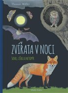 Zvířata v noci: Sova, liška a netopýr - Kniha