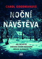 Noční návštěva: Ani největší sněhová bouře nepohřbí děsivá tajemství - Kniha