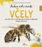 Jeden rok v životě včely: Jak včely žijí, co všechno dělají a proč je královna matkou všech včel - Kniha