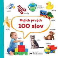 Mojich prvých 100 slov - Kniha