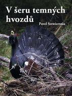 V šeru temných hvozdů - Kniha